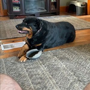 Meet your Posher, Rick